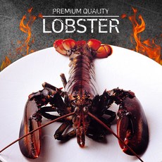 신선 해저도시 캐나다 활랍스터 600-680g (냉장), ONE COLOR, ONE SIZE