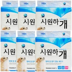  오션 시원하개 100매 패드(42cm*52cm) 6개-600매, 100장 