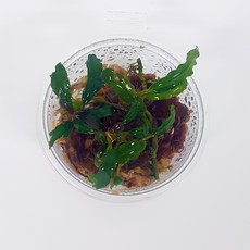 5a9c9cf6599e2c4259ca5b5dfe6ef8b8ea91f2cc541b159e4c8bf4c83e4b.jpg