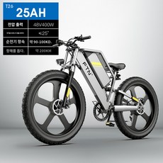 포레노우일렉트로닉 E-BIKE mtb 산악자전거 광폭타이어 리튬이온셀밧데리 산악전기자전거, A.48V, C.25AH, C. 25AH 가변 200km