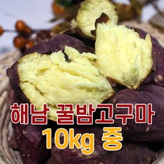 토종밤고구마