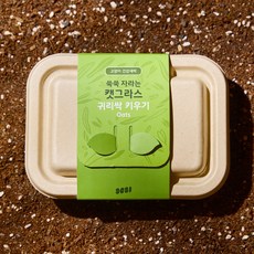 3651 쑥쑥 자라는 캣그라스 키우기 재배세트, 1개, 160g, 귀리싹