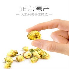 동향 태국왕 황국화 다항백국화초차공국집 특급 구기자, 단일상품