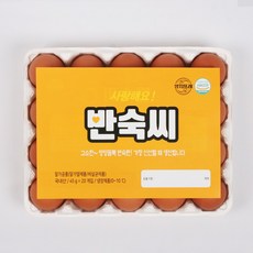 [YJ푸드] HACCP인증 100% 국내산 계란으로 맛있게 만든 반숙란 반숙씨, 반숙씨 20구, 900g