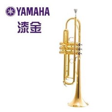 입문용 트럼펫 악기골드 은도금 구리 초보자 수 나팔 악기 험 프로 연주 trumpet, 1. TLSM-4335S 골드 캔버스 백