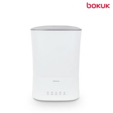 보국 통세척 복합식 가습기 BKUH-9130W 5.5L대용량 c, 단품