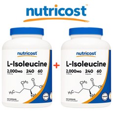 코스트코팬히터