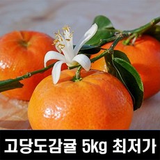 8a4bfec958b0eb7b33973a96c261fbdcfde4fc954adf7b6e7a8674fd7a5a.jpg