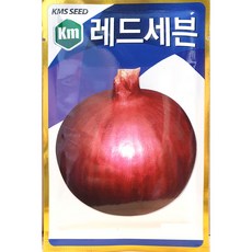 양파씨앗종묘