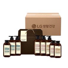 LG명절세트 모던에디션 헤어바디세트D호, 10개