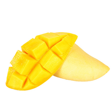 브라더조셀렉샵