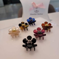 장폴클라리쎄집게핀