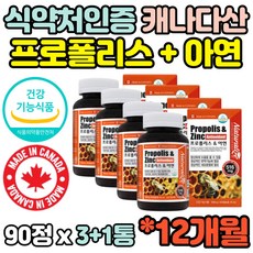 킹프로폴리스