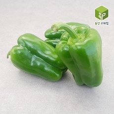 농산다모임 청피망(특) 2kg 5kg 10kg, 1박스