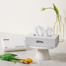 크리넥스스타일에디션