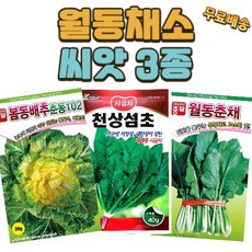 씨앗팜 월동 채소 씨앗 3종 세트 봄동배추 섬초시금치 월동춘채 씨앗 종자, 1세트