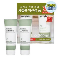 꼬북좌PiCK브링그린 사철쑥약산성클렌징폼200mL더블, 200ml, 1개