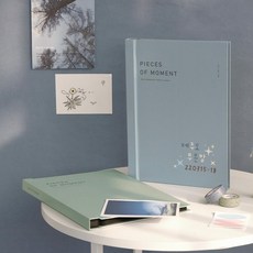 태아성장수첩