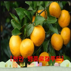 61d6b1f3316ab96aa3c704428fd41fe624050e83c19bf63b2fdb5bbd06de.jpg