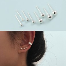 은침