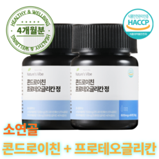 네이처스 바이브 소연골 콘드로이친 프로테오글리칸 국산 식약청 인증 HACCP, 2개, 60정