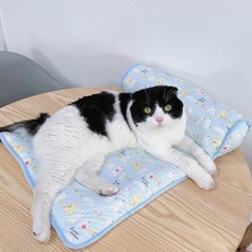 북극쿨매트