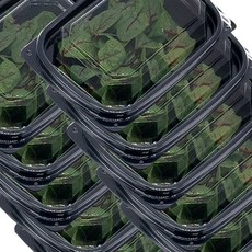 직접재배 당일수확 적소렐 도매 레드소렐 쏘렐 수영 샐러드채소, 10개, 10g