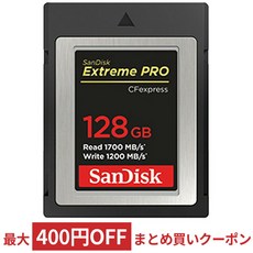 샌디스크cfexpress128gb
