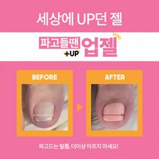 업젤 TOP01