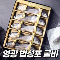 중국산조기