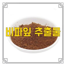 소율국제 비파 잎 비파나무 잎 추출물 농축 분말 가루, 20:1, 1000g, 1개