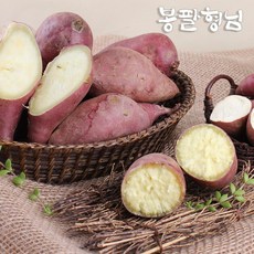 토종밤고구마