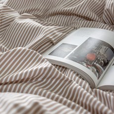 캐논ae-1소프트버튼