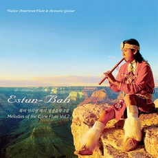 (CD) Estun-Bah (에스툰 바) - Melodies Of The Cane Flute Vol.2 (북미 인디언 피리 명상음악 2집), 단품