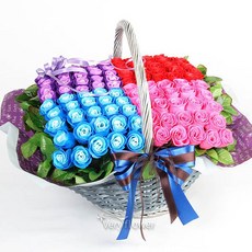 푸시아베리플라워