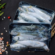 삼천포 구이용 햇 전어, 전어 500g, 1개