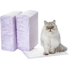 Amazon Basics아마존 베이직 고양이 패드 리필 포 리터 박스 신선한 향 40개 팩 퍼플 및 화이트, Fresh