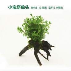 e579e3eae4a1727c7623a29f3e8b3967a11cdc3e097d39945fee4aa2198b.jpeg