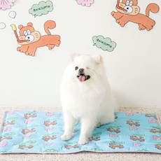 스쿠티스튜디오