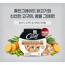 시저 홀썸볼 닭고기 고구마 콩 85g 10개