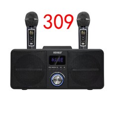 sd309