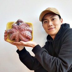 국내산 자숙 문어 자연산 돌문어 1마리(자숙후 700g내외) 제수용 통문어, 1개, 700g 내외