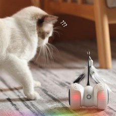  움직이는 고양이 강아지 장난감 레이저 깃털 낚시대, 리모콘 블랙 자동차 