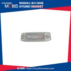 현대모비스 순정 베라크루즈 번호판 등 램프 렌즈 (925103B500), 1개