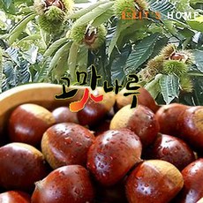 fb0e4cd81a3724ada5cec38660dd669b61f3c617cdb86a7918d47f1fce6d.jpg
