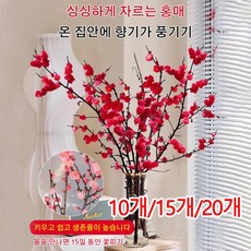 10개/15개/20개 [재운 및 행운 불러오기] 갓 자른 수경 홍매 가지 홍매 나뭇가지 홍매화, 마른 가지, [15개] (꽃봉오리 포함)60-70cm 홍매 가지