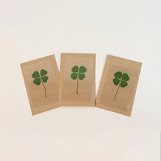 (카드+봉투) 생화 네잎클로버 투명 코팅 크로버 크로바 답례품 수험생 책갈피 선물 1매