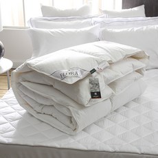 시베리아구스이불