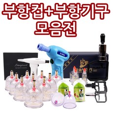 부항셋트 모음전/부항기/부항펌프/전동사혈기, 09.한방애 부항기 12컵, 상품명