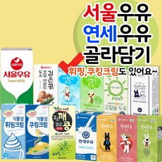 서울우유 연세두유 검은콩 아몬드 잣 콩 고칼슘 휘핑크림, 22. 서울우유 멸균 흰우유 1000ml 10개입